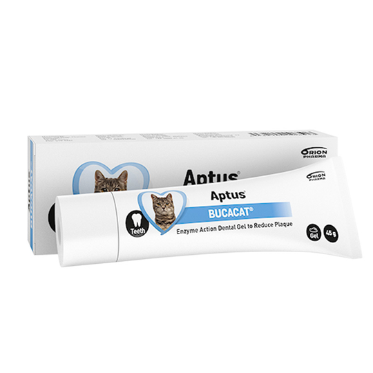 Aptus Bucacat Oral Pasta 45 g