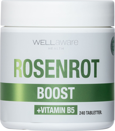 WellAware Health Rosenrot + B5 240 minitabletter