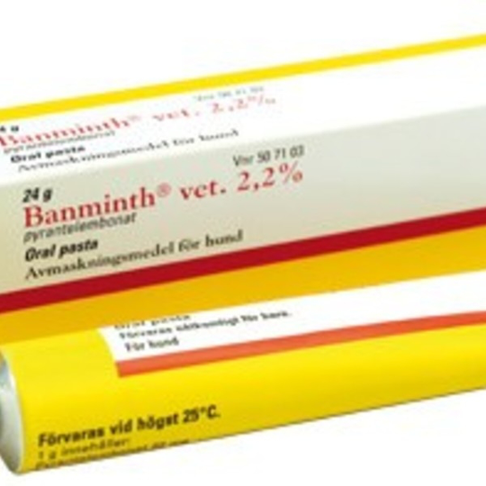 Banminth vet. Oral pasta 2,2 % 24 g