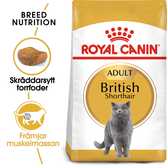 Royal Canin British Shorthair kattmat 10kg