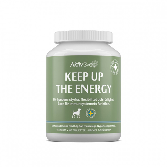 AktivSvea Keep up the Energy 100 st