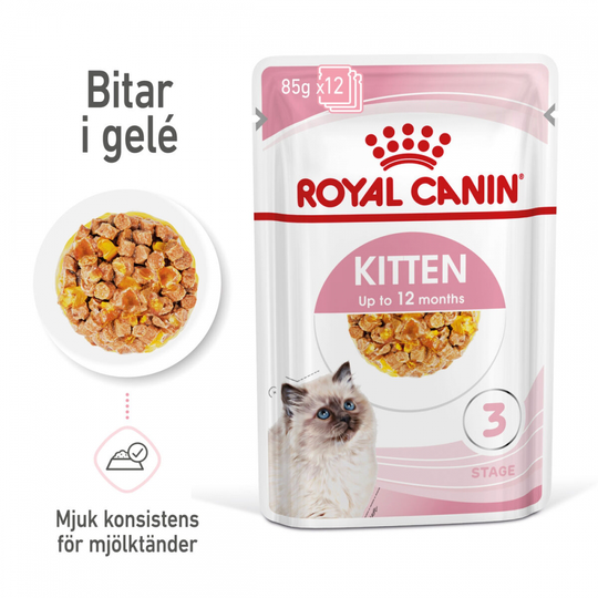 Royal Canin Kitten Gelé Wet 12x85g
