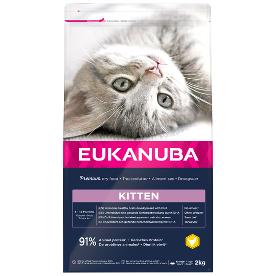 2 kg Eukanuba torrfoder katt till sparpris! - Healthy Start Kitten