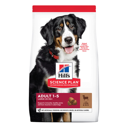 Ekonomipack: 2 x Hill's Science Plan hundfoder - Adult Large Breed Lamb & Rice (2 x 14 kg)