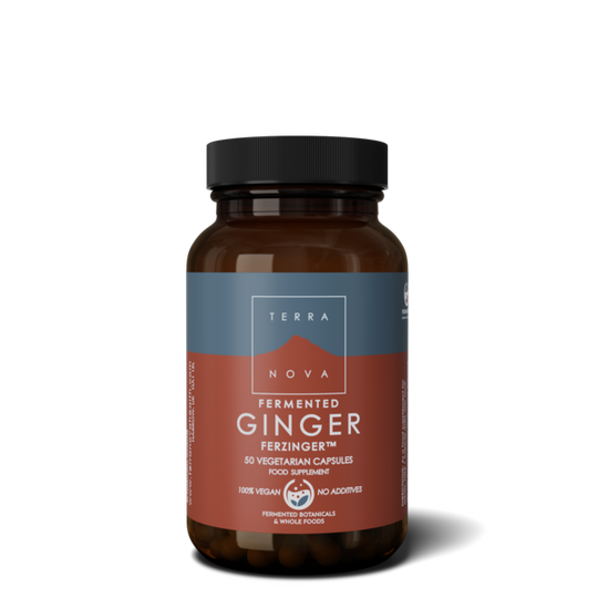 Terranova Fermented Ginger Ferzinger 250 mg 50 kapslar