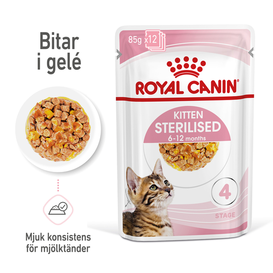 Royal Canin Kitten SterilisedJelly kattmat 12x85g