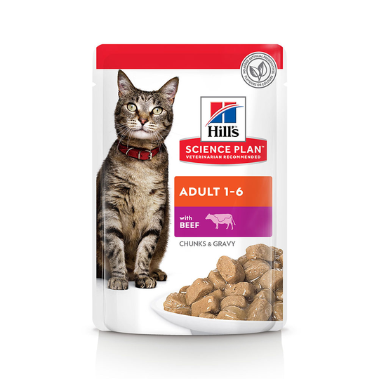 Hill's Science Plan Adult 12 x 85 g Beef