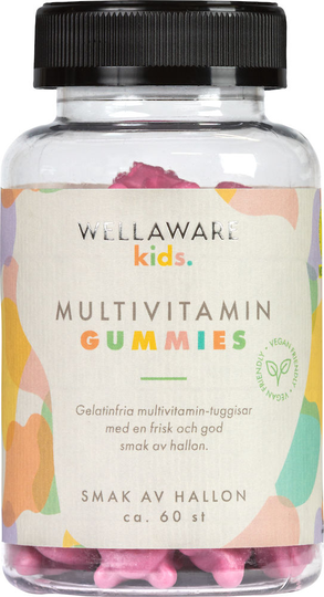 WellAware Kids Multivitamin Gummies 60 st