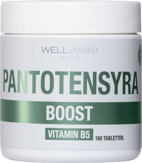 WellAware Health B5 Pantotensyra 180 minitabletter
