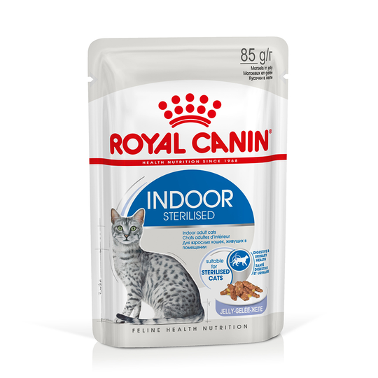 Royal Canin Indoor Sterilised gelé - 12 x 85 g