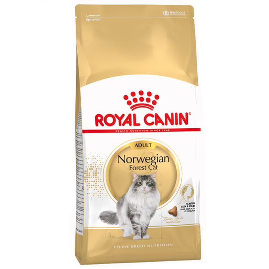 Ekonomipack: 2 x Royal Canin kattfoder till lågpris - Norwegian Forest Cat (2 x 10 kg)