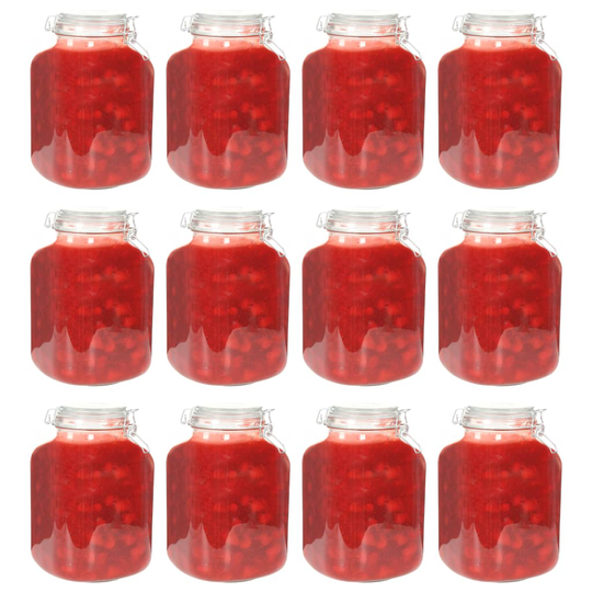 vidaXL Syltburkar i glas med lock 12 st 5 L