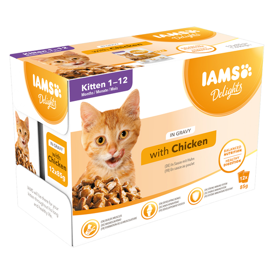IAMS Delights Kitten Kyckling i sås - 24 x 85 g