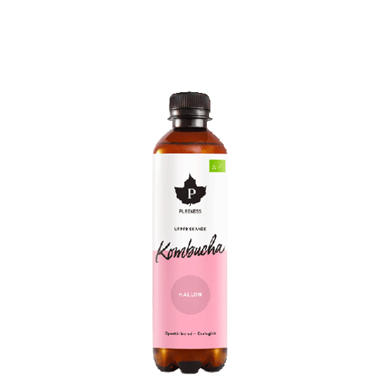 Kombucha EKO, 370 ml