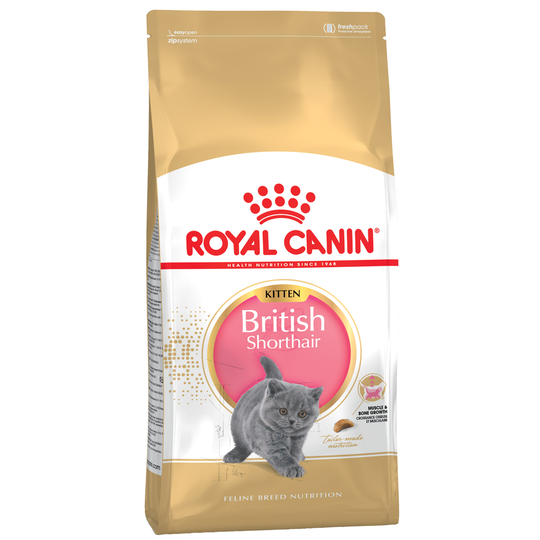 Ekonomipack: 2 x Royal Canin kattfoder till lågpris - Kitten British Shorthair (2 x 10 kg)