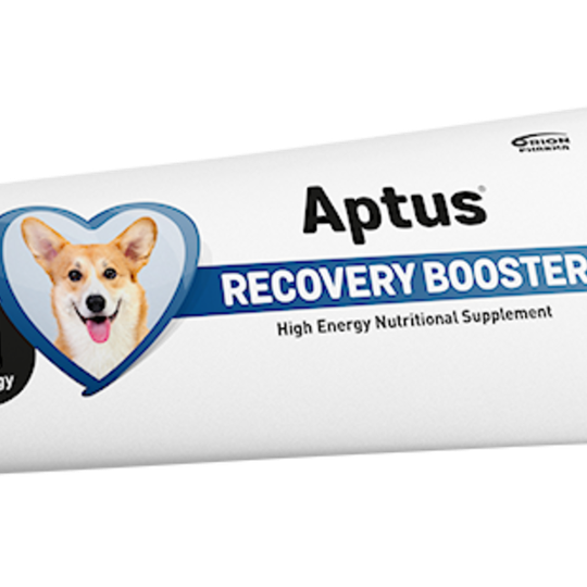 Aptus Reconvalescent Dog Pasta 100 g